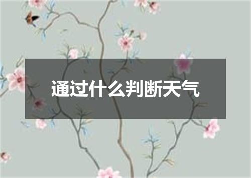 通过什么判断天气