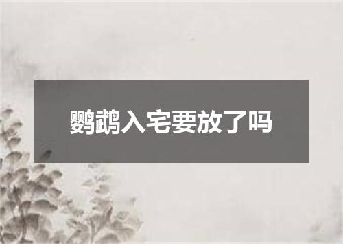 鹦鹉入宅要放了吗