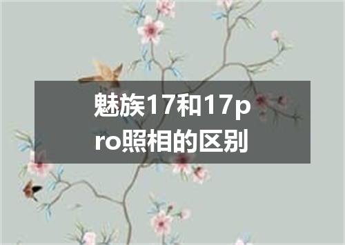 魅族17和17pro照相的区别