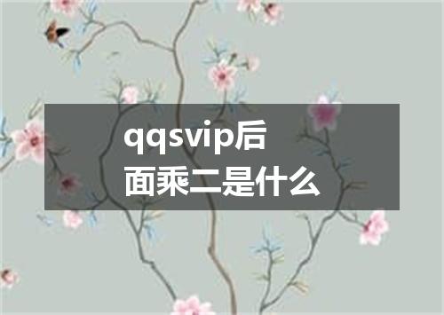 qqsvip后面乘二是什么