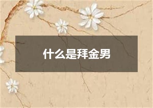 什么是拜金男