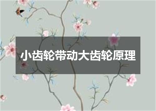 小齿轮带动大齿轮原理