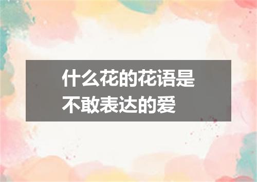 什么花的花语是不敢表达的爱