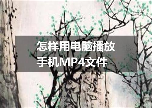 怎样用电脑播放手机MP4文件