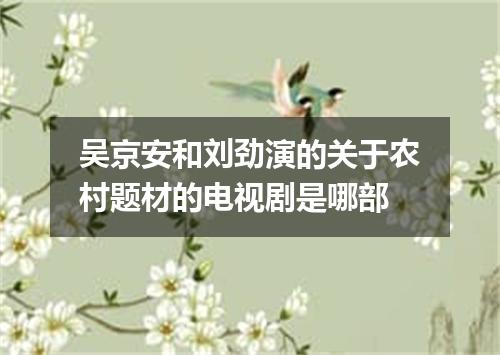 吴京安和刘劲演的关于农村题材的电视剧是哪部