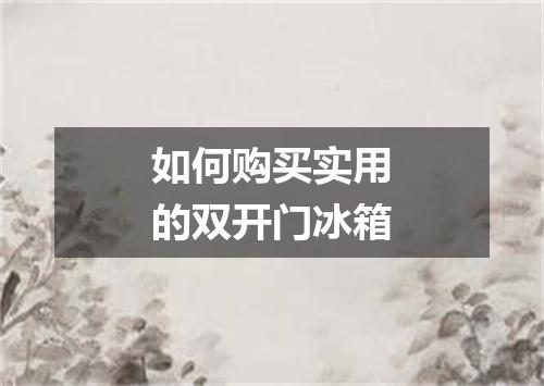 如何购买实用的双开门冰箱