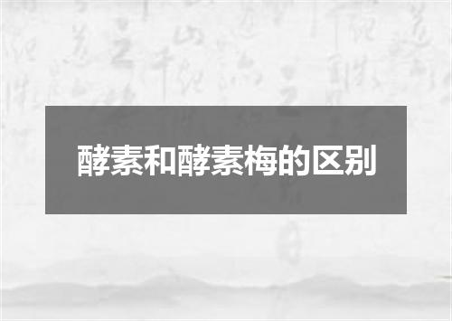 酵素和酵素梅的区别