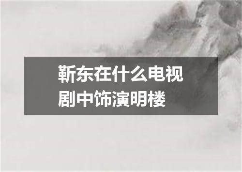 靳东在什么电视剧中饰演明楼