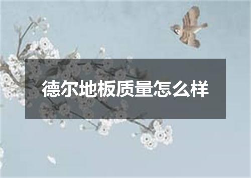 德尔地板质量怎么样