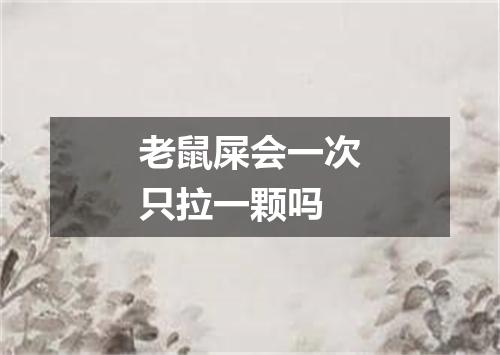 老鼠屎会一次只拉一颗吗