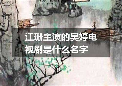 江珊主演的吴婷电视剧是什么名字