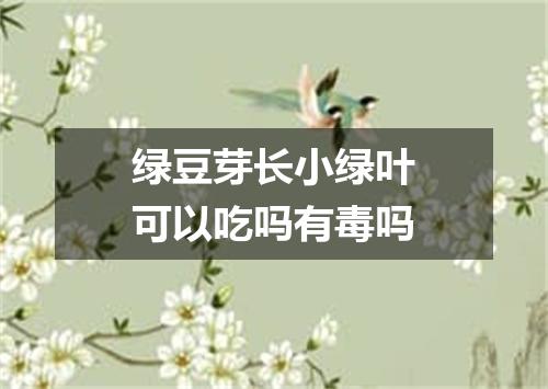 绿豆芽长小绿叶可以吃吗有毒吗