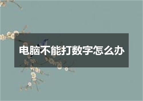 电脑不能打数字怎么办