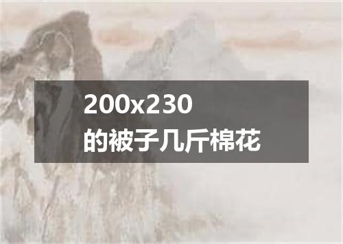 200x230的被子几斤棉花