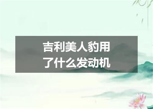 吉利美人豹用了什么发动机