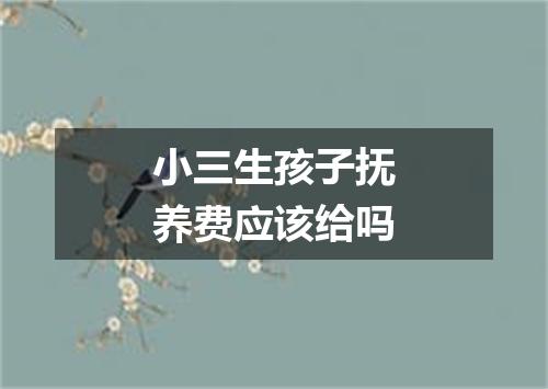 小三生孩子抚养费应该给吗