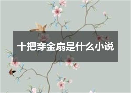 十把穿金扇是什么小说