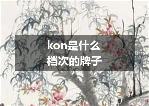 kon是什么档次的牌子