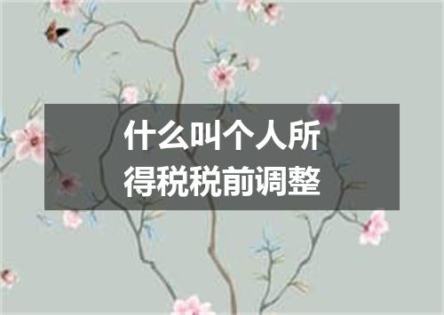 什么叫个人所得税税前调整