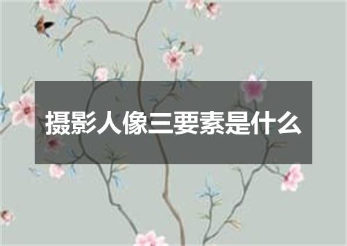 摄影人像三要素是什么