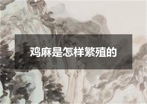 鸡麻是怎样繁殖的