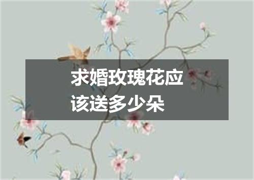 求婚玫瑰花应该送多少朵