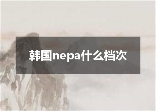 韩国nepa什么档次
