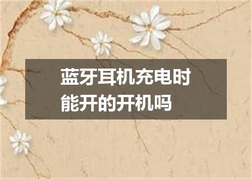 蓝牙耳机充电时能开的开机吗