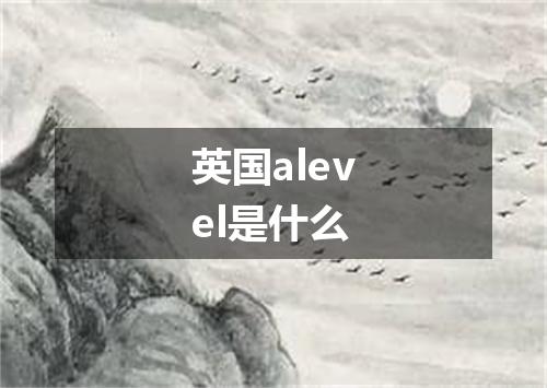 英国alevel是什么