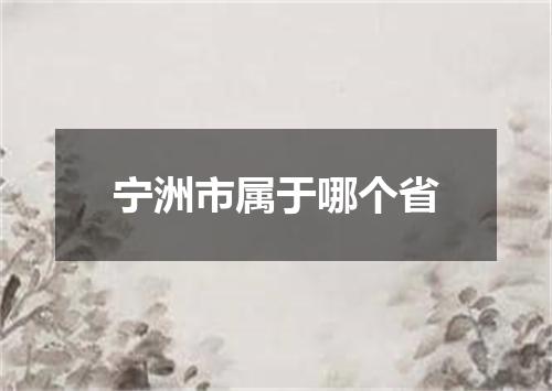 宁洲市属于哪个省