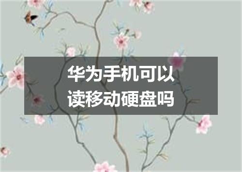 华为手机可以读移动硬盘吗
