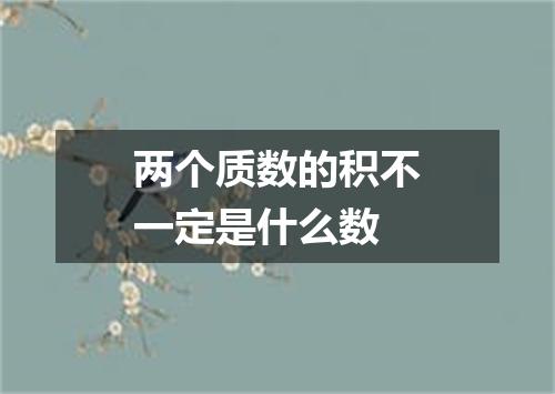 两个质数的积不一定是什么数