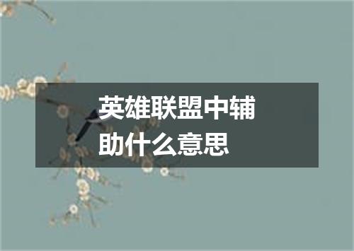 英雄联盟中辅助什么意思