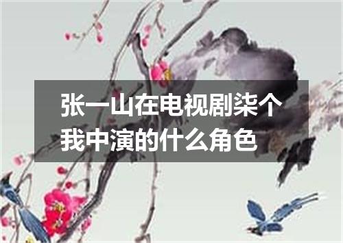 张一山在电视剧柒个我中演的什么角色