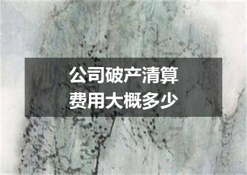 公司破产清算费用大概多少