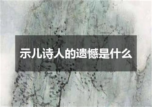 示儿诗人的遗憾是什么