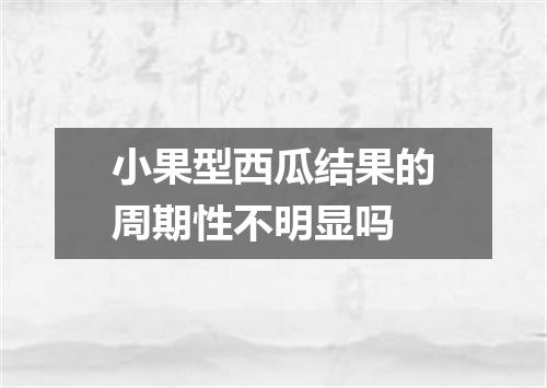 小果型西瓜结果的周期性不明显吗
