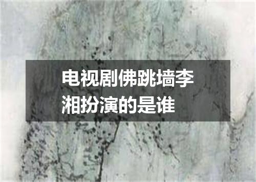 电视剧佛跳墙李湘扮演的是谁