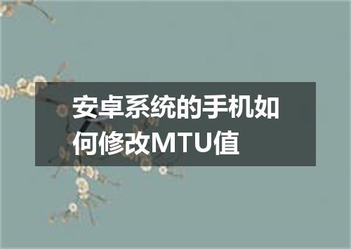 安卓系统的手机如何修改MTU值