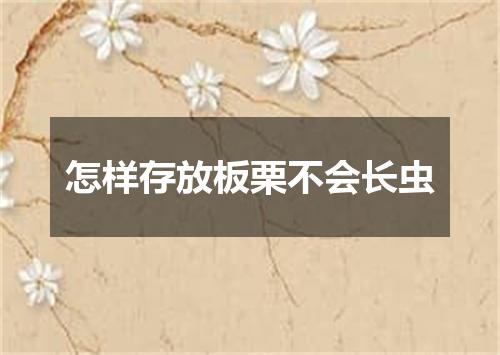 怎样存放板栗不会长虫