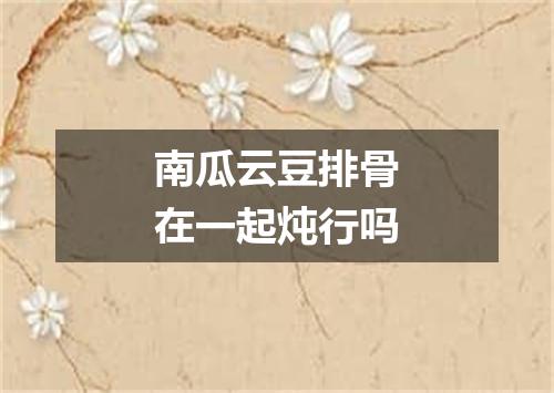 南瓜云豆排骨在一起炖行吗