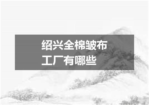 绍兴全棉皱布工厂有哪些