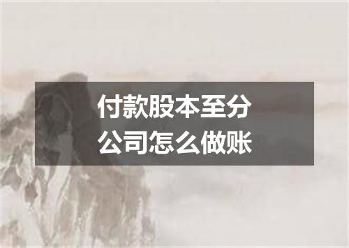 付款股本至分公司怎么做账