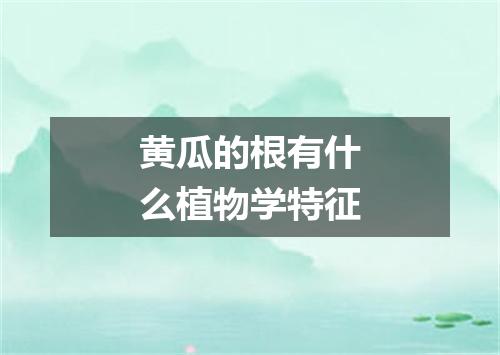 黄瓜的根有什么植物学特征