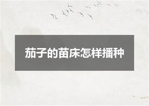 茄子的苗床怎样播种