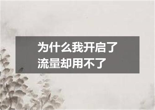 为什么我开启了流量却用不了