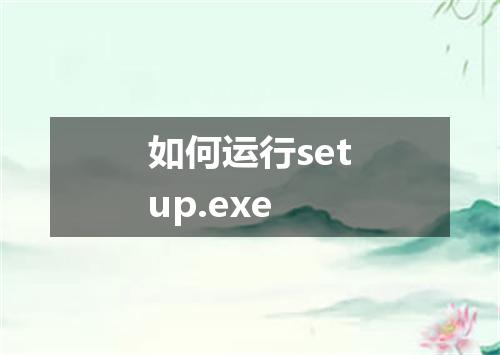 如何运行setup.exe