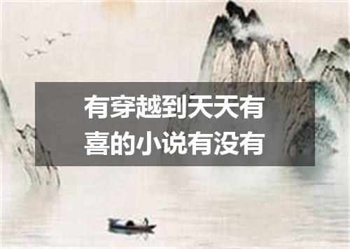 有穿越到天天有喜的小说有没有