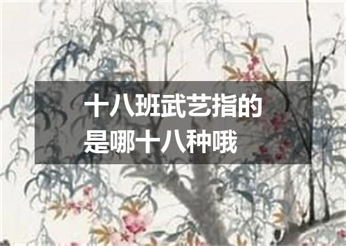 十八班武艺指的是哪十八种哦