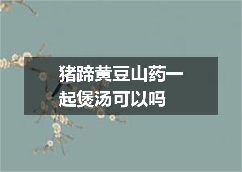 猪蹄黄豆山药一起煲汤可以吗